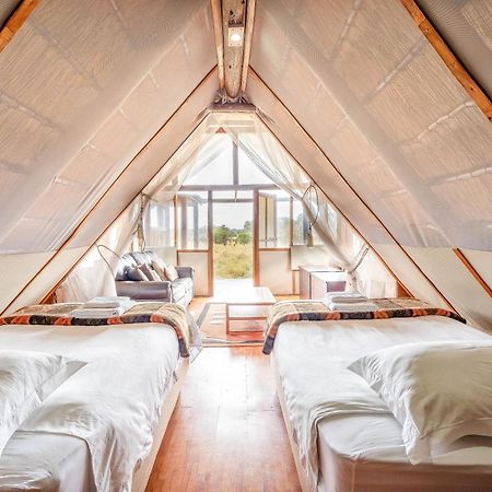 Buffelshoek Tented Camp 마니엘레티 게임 리저브 외부 사진